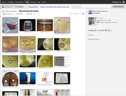 http://picasaweb.google.com/ biochemical tests picasa